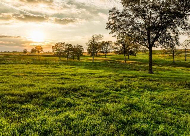 Property at TBD Sunshine Lot 13 Ct, Chappell Hill, TX 77426