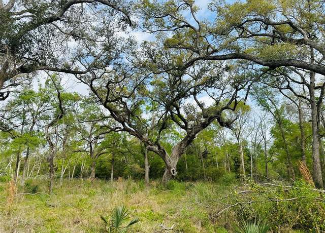 Property at Tract 5-6 Private Road 648 St, Bay City, TX 77414