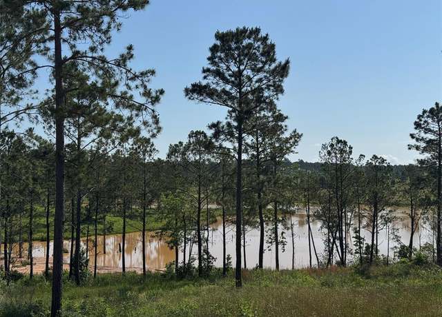 Property at TBD Western Rd, Livingston, TX 77351