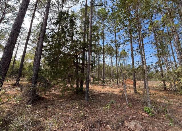 Property at 9682 Creek Vista Ln, Willis, TX 77378