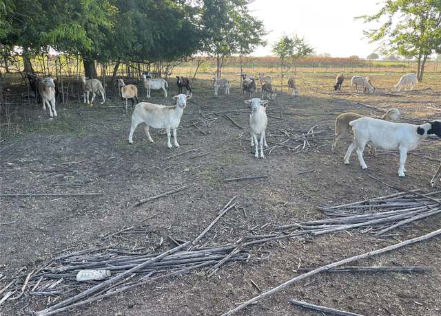 Property at 0000 Macha Rd, Wallis, TX 77485