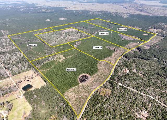 Property at 000 County Rd 4415, Spurger, TX 77660