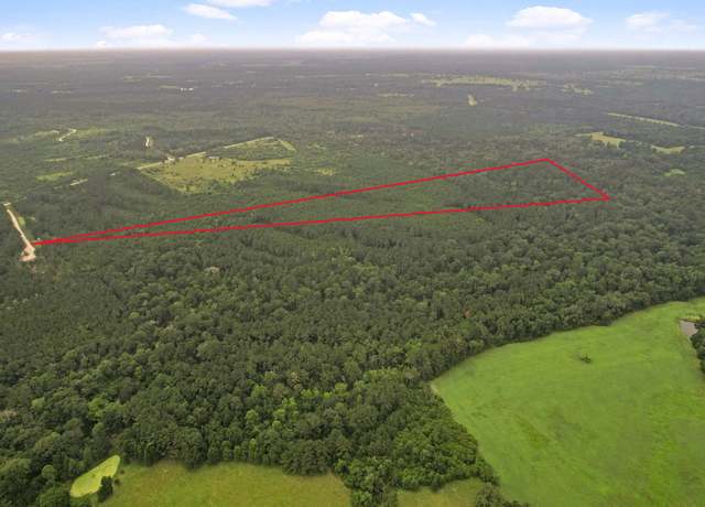 Property at Tract 11 Fm 230, Lovelady, TX 77854