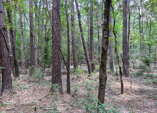 Property at 0 County Line Rd, Livingston, TX 77351