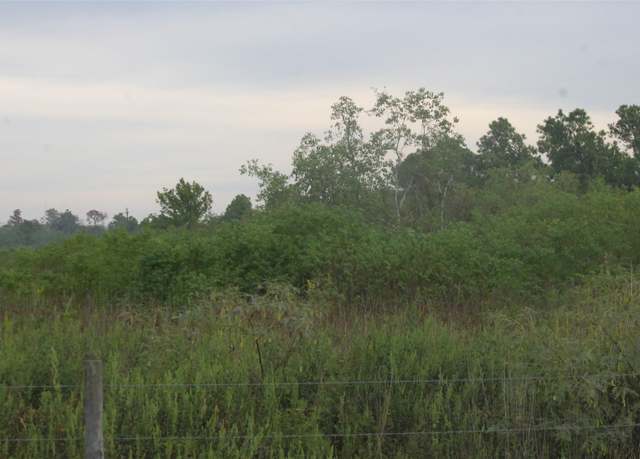 Property at 0 Englin, Winnie, TX 77277