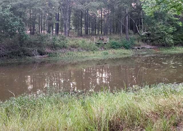 Property at 200 Laurel, Onalaska, TX 77360