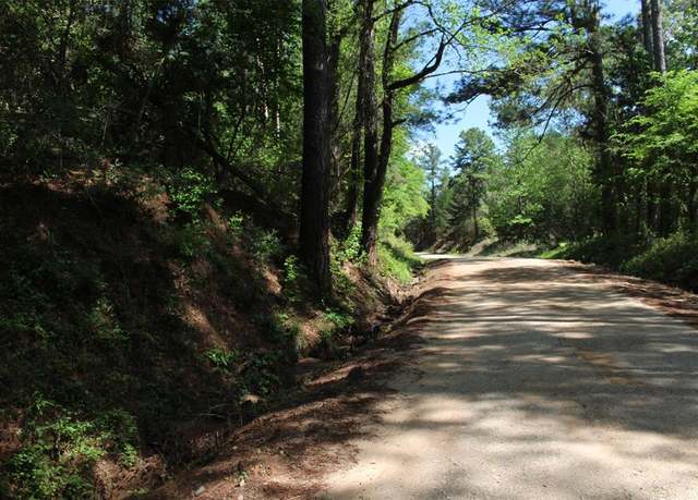 Property at 000 County Road 1190, Grapeland, TX 75844