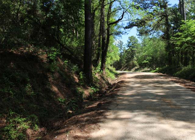 Property at 000 County Road 1190, Grapeland, TX 75844
