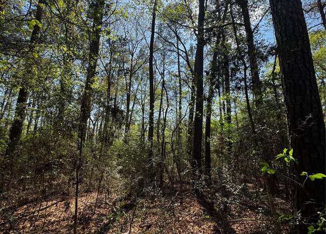 Property at Lot 10 Lantern Ln, Conroe, TX 77303