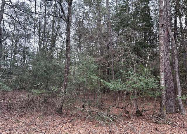 Property at LOT 20 Hackberry Dr, Village Mills, TX 77625