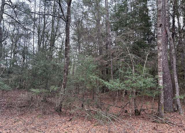 Property at LOT 20 Hackberry Dr, Village Mills, TX 77625