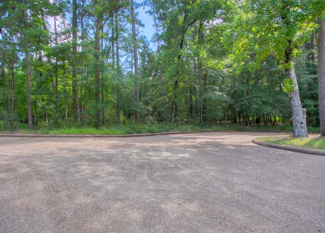 Property at 412 Piping Rock Dr, Huntsville, TX 77340