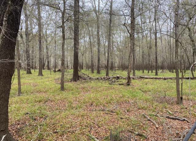 Property at TBD County Road 112, Centerville, TX 75833