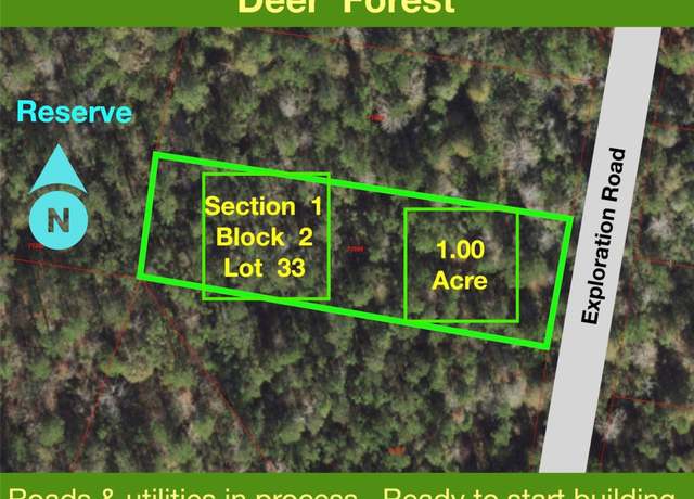 Property at 319 Exploration Rd, New Waverly, TX 77358