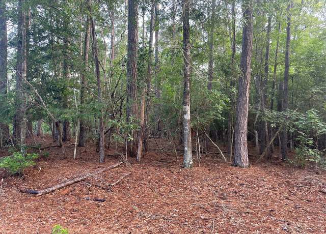 Property at LOT 2 Buckeye St W, Village Mills, TX 77663