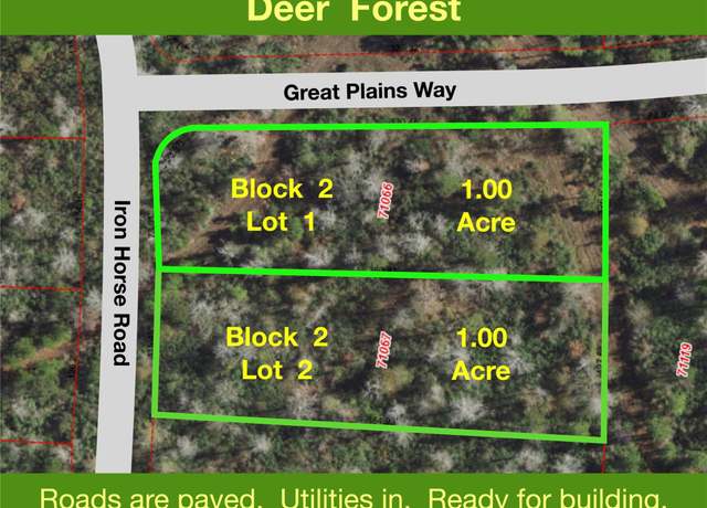 Property at 300 Iron Horse Rd, New Waverly, TX 77358