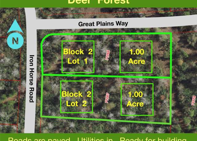 Property at 300 Iron Horse Rd, New Waverly, TX 77358