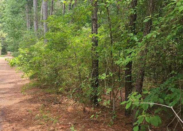 Property at Lot 5 Cherry Tree Ln, Plantersville, TX 77363