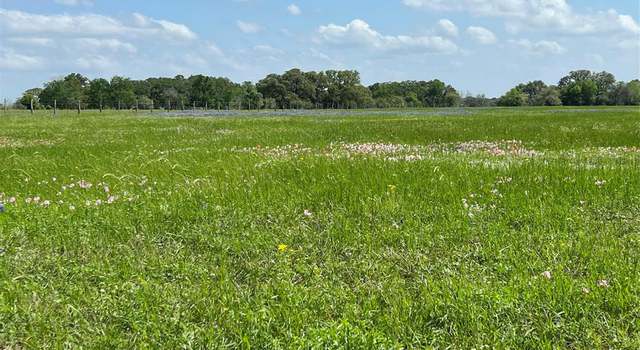 Photo of Tract 2 County Road 235, Hallettsville, TX 77964