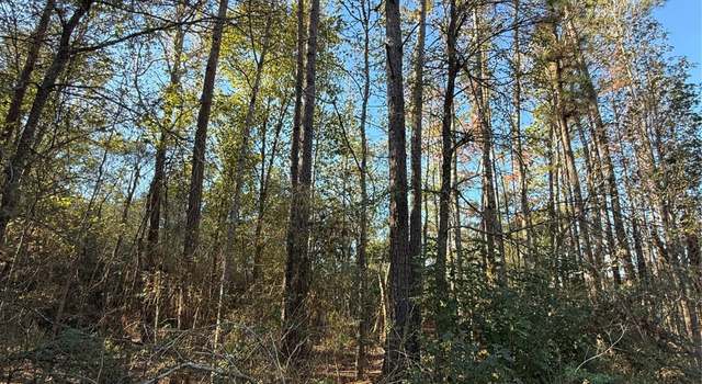 Photo of TBD Deer Run Dr, Trinity, TX 75862