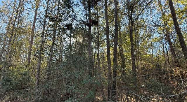 Photo of TBD Deer Run Dr, Trinity, TX 75862