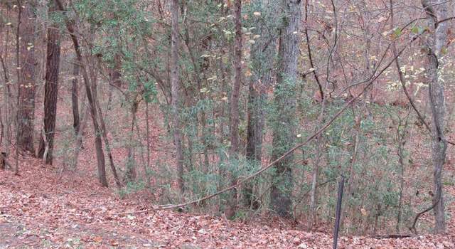 Photo of TBD S Pine Harbour Dr, Coldspring, TX 77331