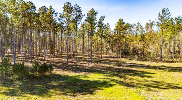 Photo of 00141516 Big Buck Dr, Moscow, TX 75960