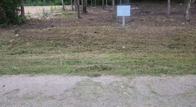 Photo of 0 N Railroad Road Ave Ave, Shepherd, TX 77371