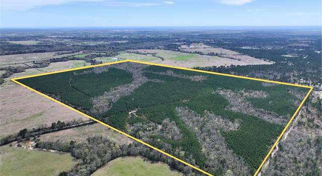 Photo of 0 CR 3450, Lovelady, TX 75851