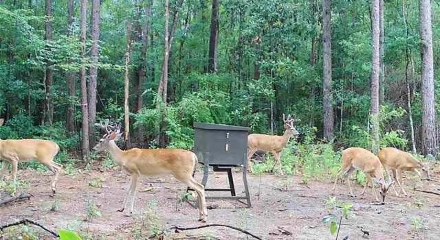 Photo of 4372 County Road 716, Buna, TX 77612