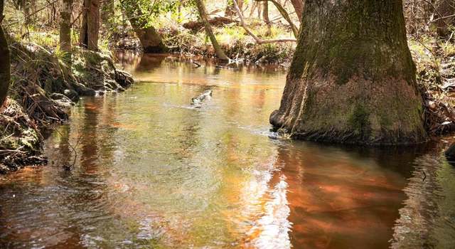 Photo of TBD 2 County Road 2052, Newton, TX 75966