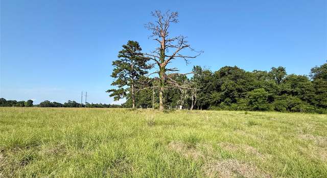 Photo of TBD Hot Springs Dr, Trinity, TX 75862