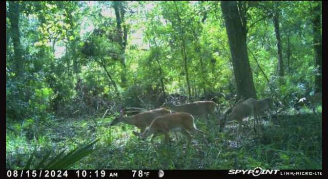 Photo of 3941 County Road 780, Sweeny, TX 77480