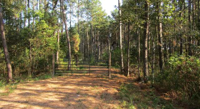 Photo of 801 Pelican Rd, Shepherd, TX 77371
