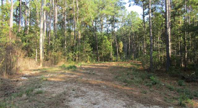 Photo of 801 Pelican Rd, Shepherd, TX 77371