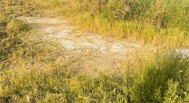 Photo of 395 Sabinal St, Boling, TX 77420
