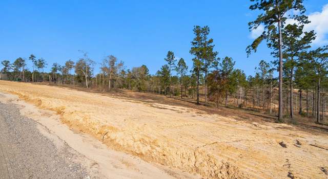 Photo of TBD Western, Livingston, TX 77351