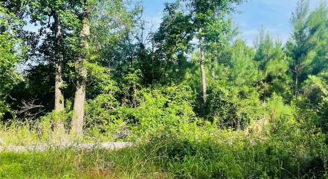 Photo of 01 Bracewell Cemetery Rd, Livingston, TX 77351