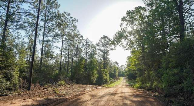 Photo of TBD County Road 4575, Spurger, TX 77660