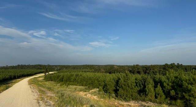 Photo of TBD Blackjack Road Tract 33, Livingston, TX 77351