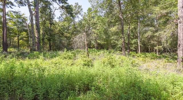 Photo of 7841 Gum Tree Ln, Plantersville, TX 77363