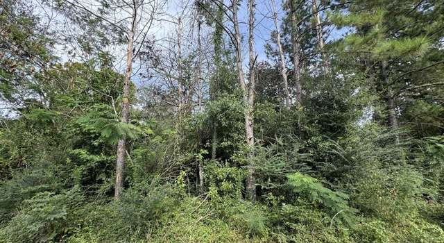 Photo of 871 County Road 4470, Warren, TX 77664
