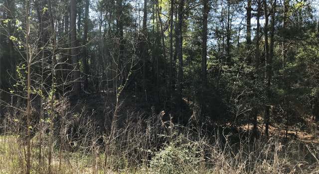 Photo of tbd lot 28 Parkview Dr, Onalaska, TX 77360