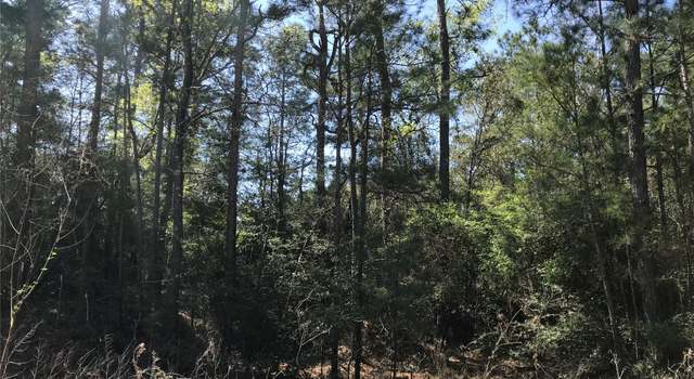 Photo of tbd lot 28 Parkview Dr, Onalaska, TX 77360