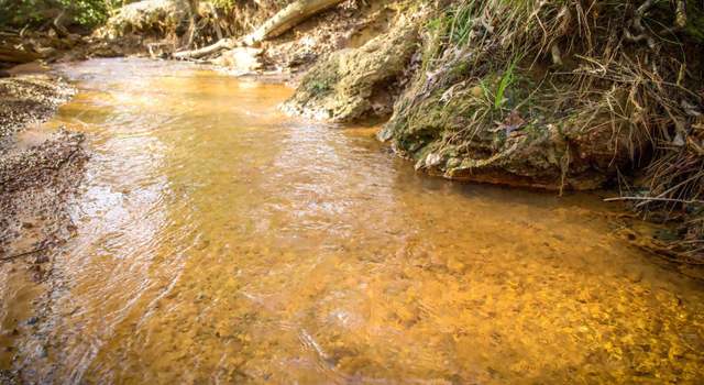 Photo of TBD 2 County Road 453, Laneville, TX 75667