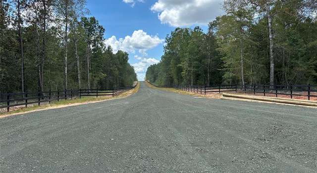 Photo of Tract 4 Timberland Branch Dr, Woodville, TX 75979