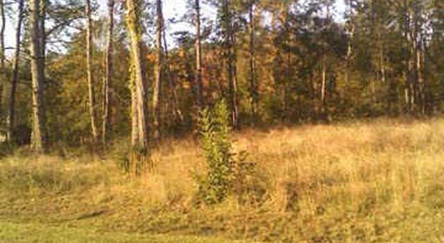 Photo of 0 Lillard Lane Crk, Dayton, TX 77535