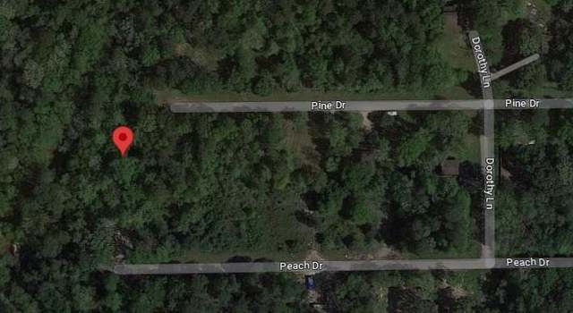Photo of 0 Pine, New Caney, TX 77357