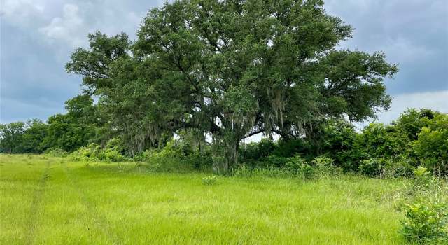 Photo of 16876 County Road 809, Brazoria, TX 77422
