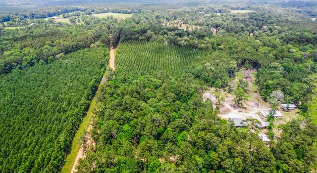 Photo of TBD00 Menard Chapel Rd, Livingston, TX 77351